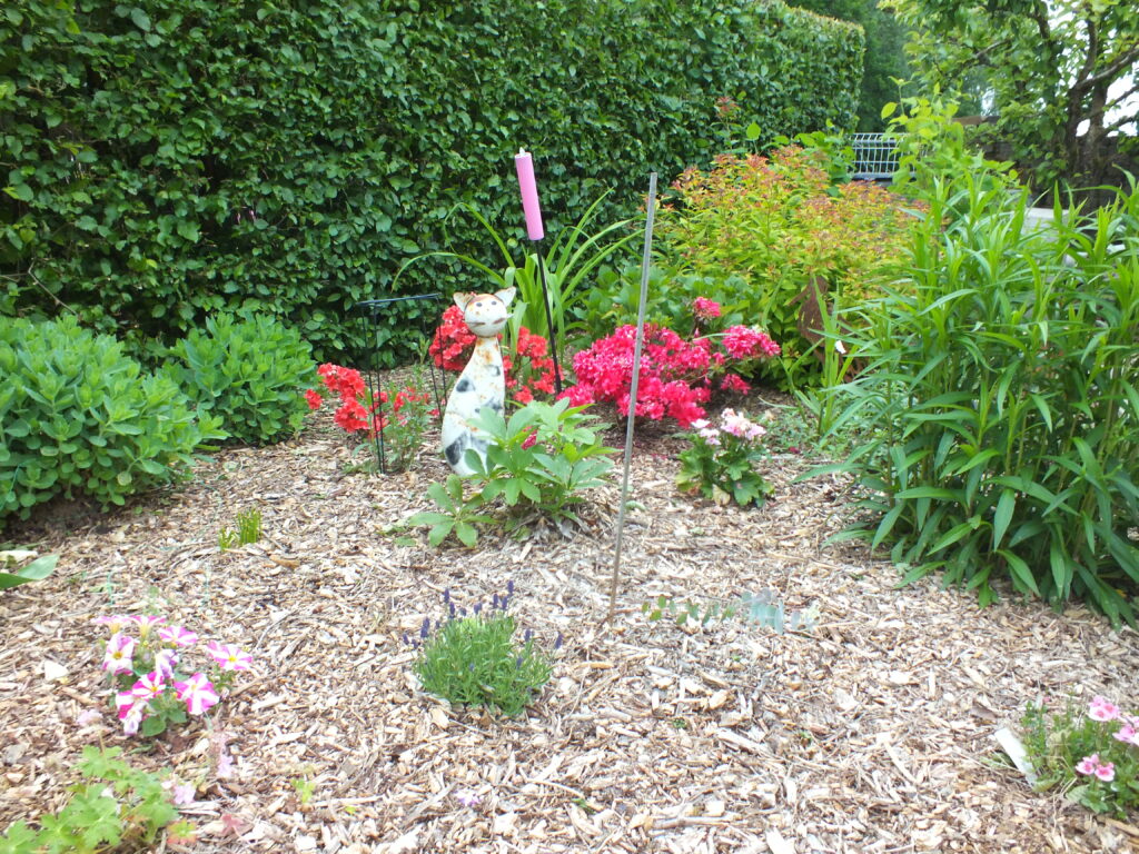 Jardin